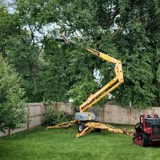 Best Grass Overseeding  in Olympia, WA
